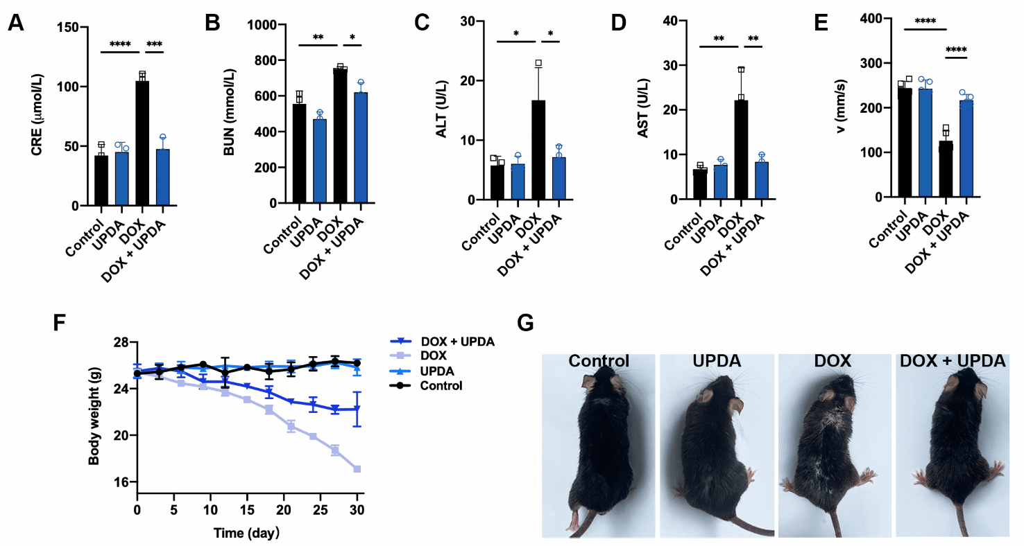 C5F60C79C59A8CF5A25A893E95C_41D7913B_263B5