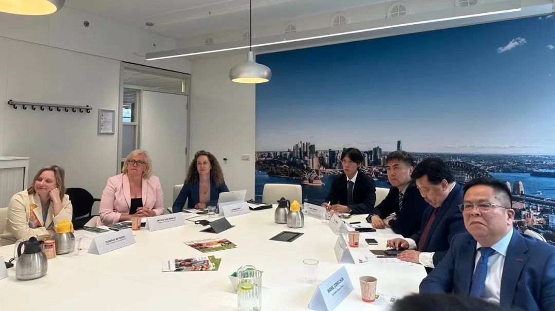 BE33777C6FD5FB99BFAAFE75F56_91470C3E_14F35