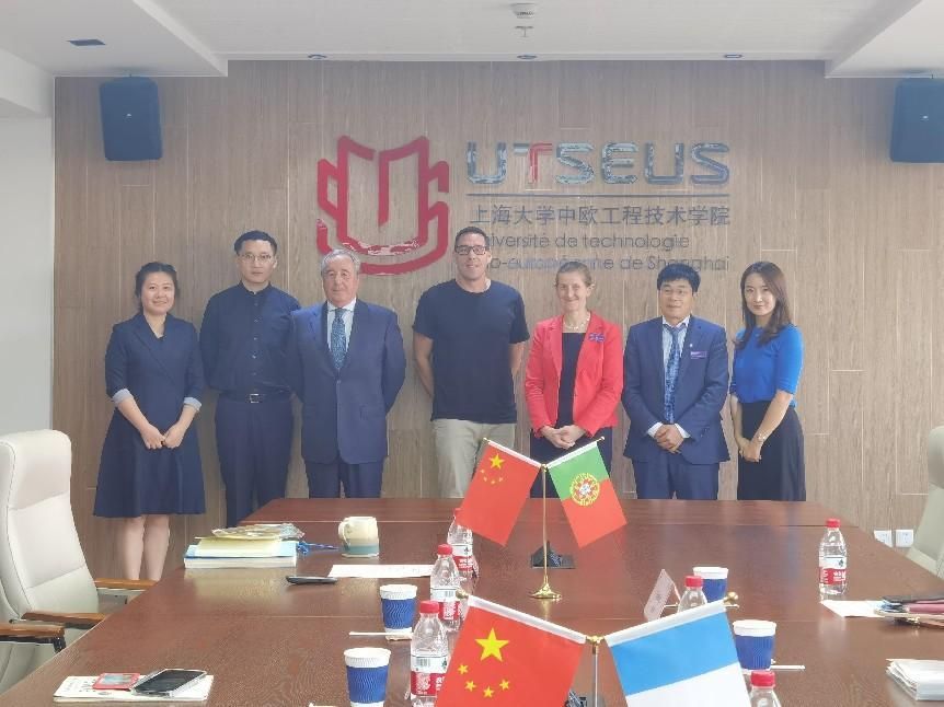 70B9605E0069A969E9944B21D85_3E7FF3D5_1223F