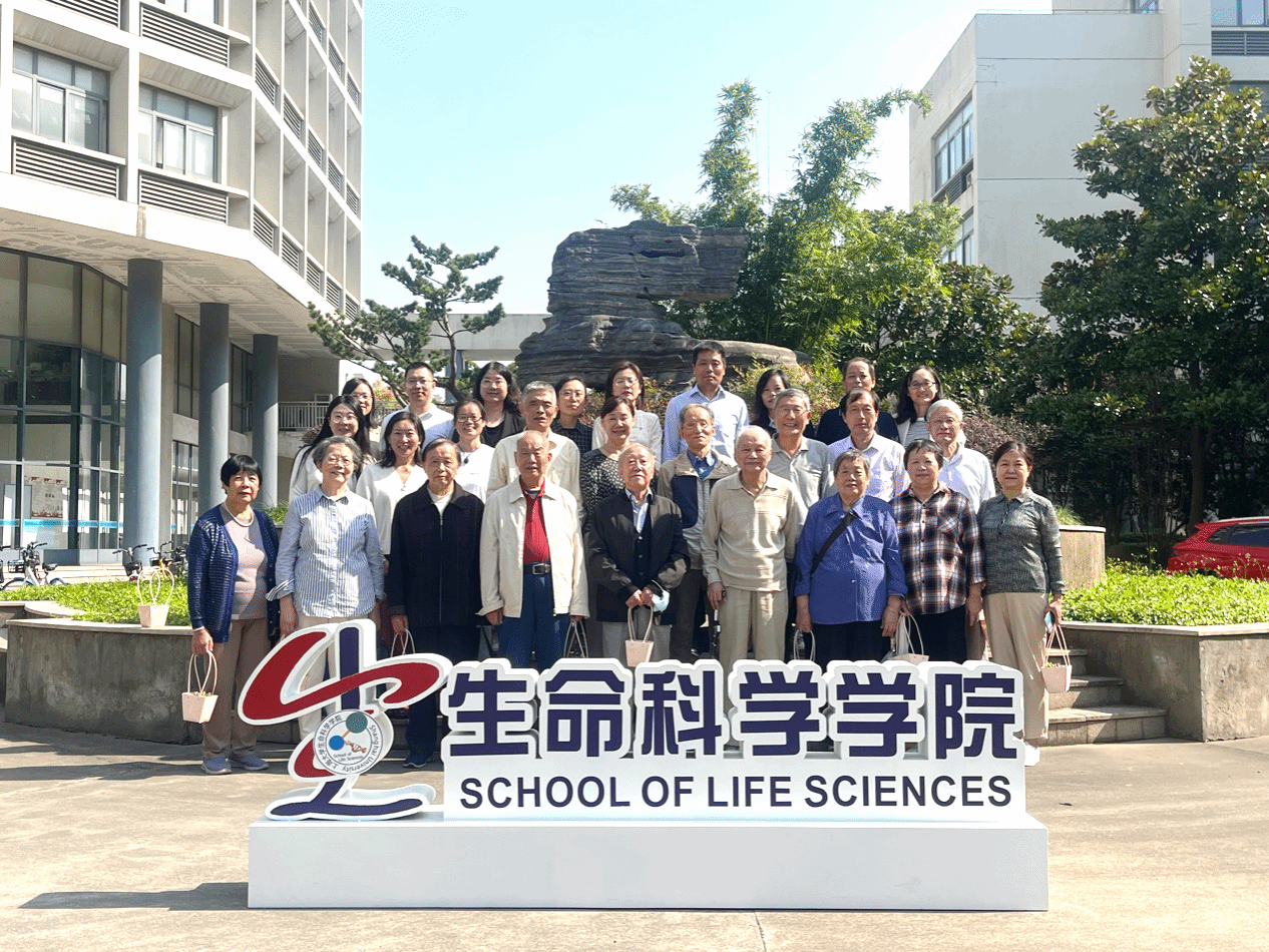 B92643C15955E1C40F124AA7B3E_845D86D4_96E5E