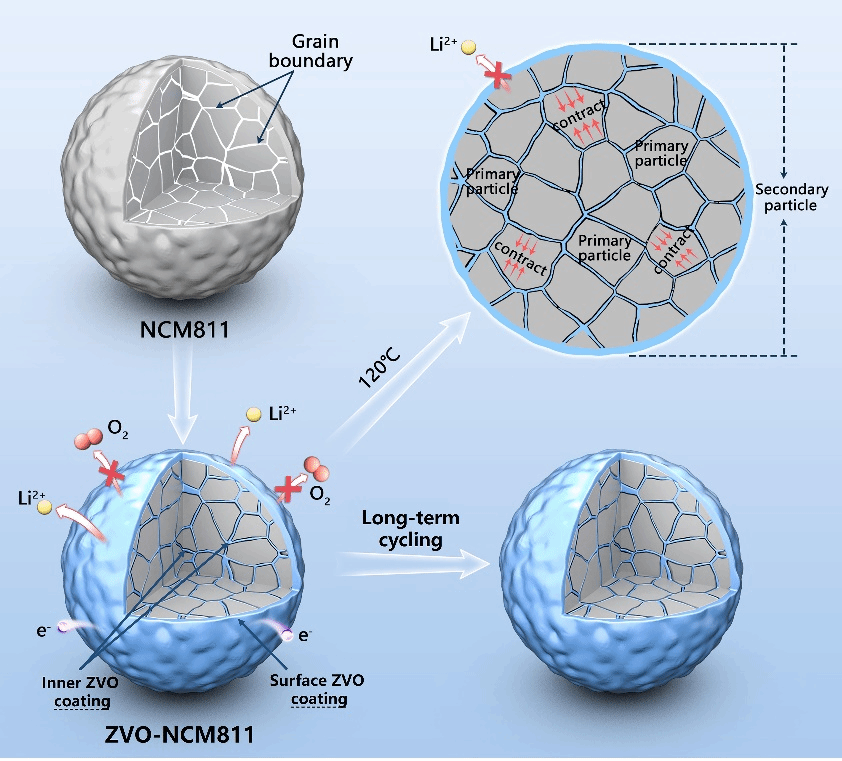 08C15B25B29743B2A55C84F3D57_CB442563_3028E